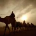 Mohammed bin Rashid issues decree on Dubai Camel Racing Club
