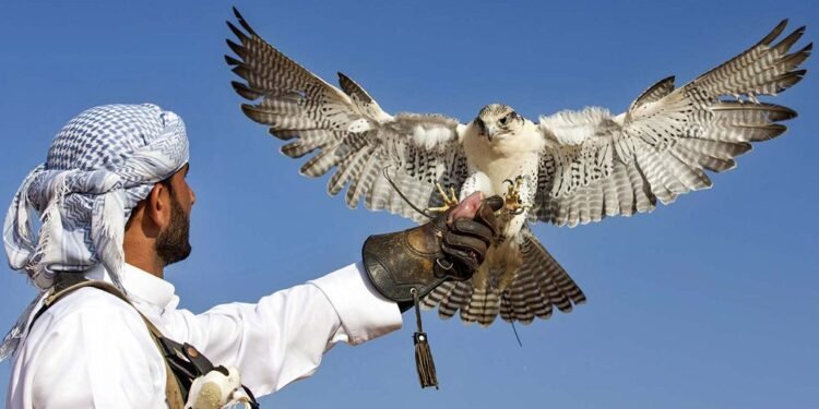 Liwa International Festival: a grand celebration of the UAE’s rich cultural heritage.