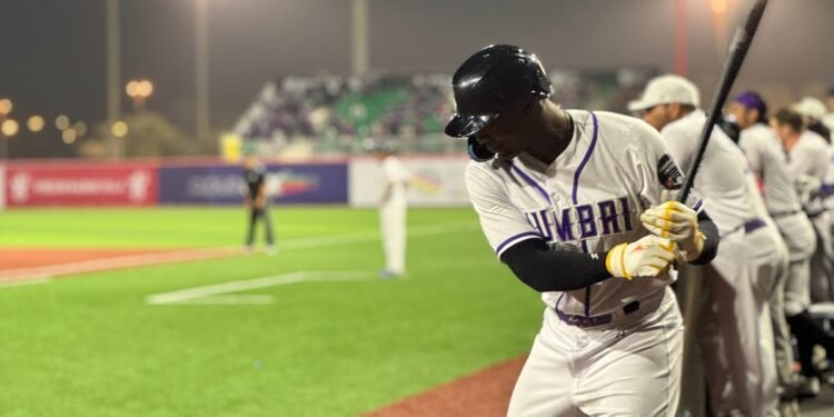 An Editors Experience